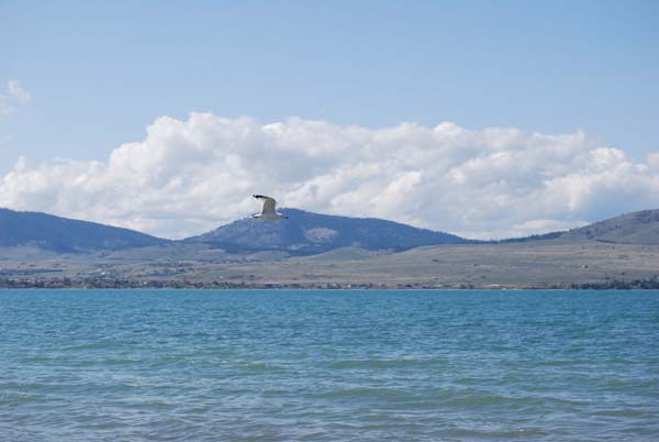 Montanas-Flathead-Lake0322