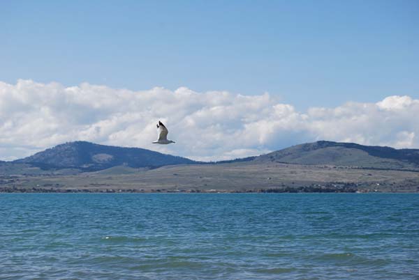 Montanas-Flathead-Lake0323