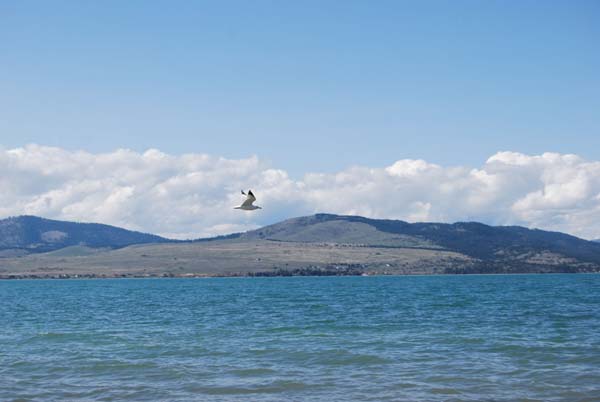 Montanas-Flathead-Lake0324
