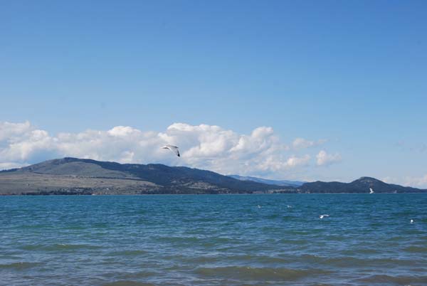 Montanas-Flathead-Lake0326