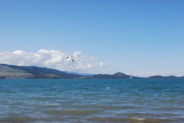 Montanas-Flathead-Lake0327