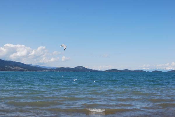 Montanas-Flathead-Lake0328