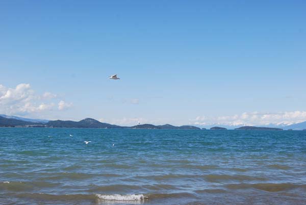 Montanas-Flathead-Lake0329