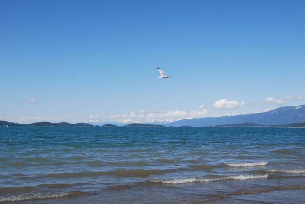 Montanas-Flathead-Lake0331