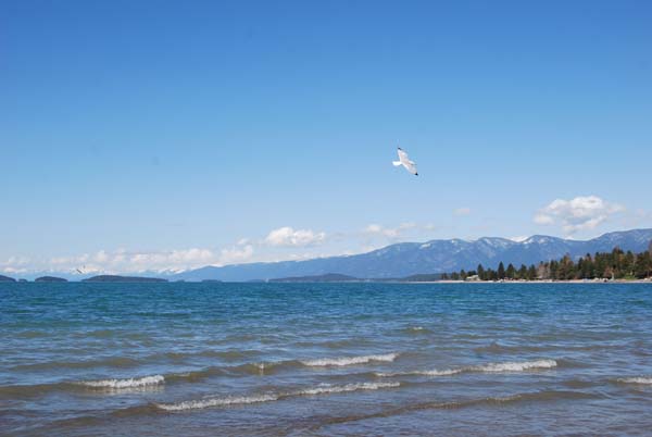 Montanas-Flathead-Lake0333