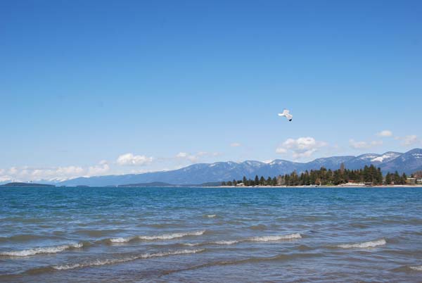 Montanas-Flathead-Lake0334
