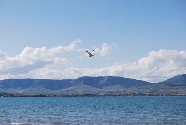 Montanas-Flathead-Lake0340