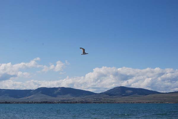 Montanas-Flathead-Lake0341