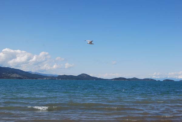 Montanas-Flathead-Lake0348