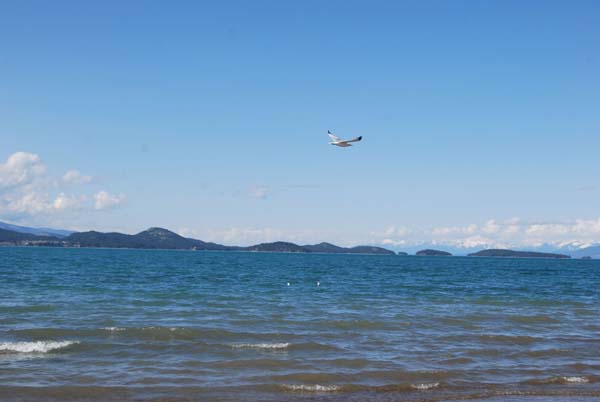 Montanas-Flathead-Lake0349