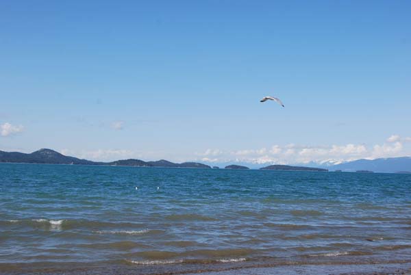 Montanas-Flathead-Lake0350