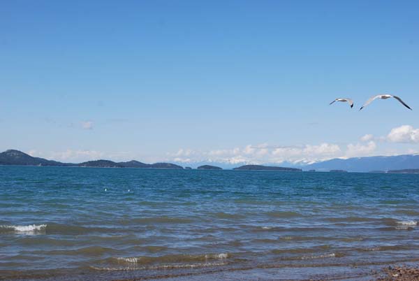 Montanas-Flathead-Lake0351