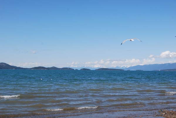 Montanas-Flathead-Lake0352