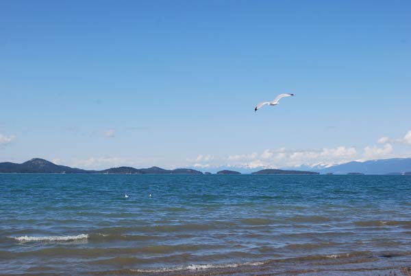 Montanas-Flathead-Lake0353