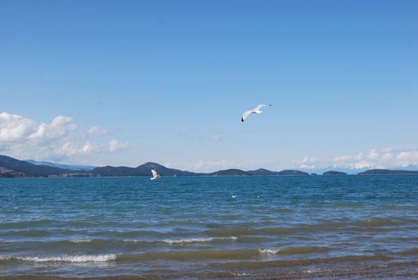 Montanas-Flathead-Lake0354