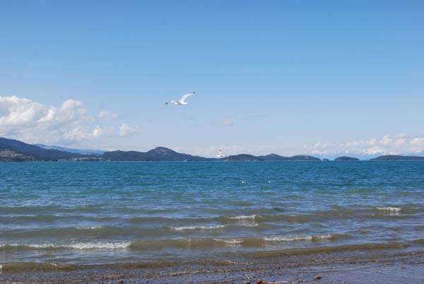 Montanas-Flathead-Lake0355