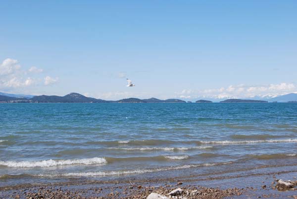 Montanas-Flathead-Lake0358