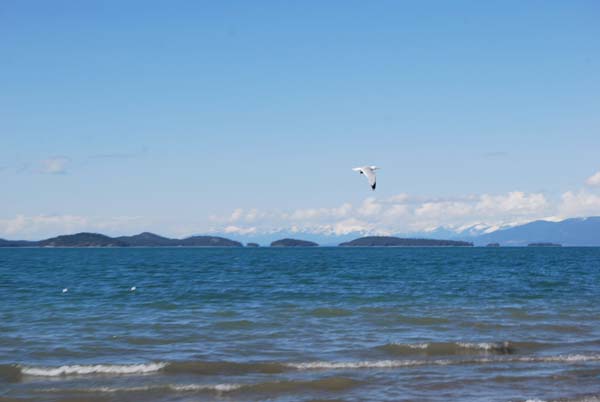 Montanas-Flathead-Lake0360