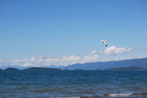 Montanas-Flathead-Lake0361