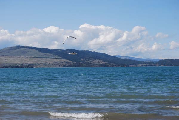 Montanas-Flathead-Lake0362