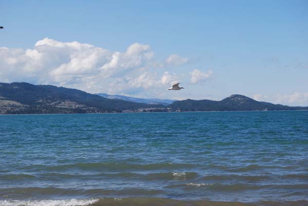 Montanas-Flathead-Lake0364