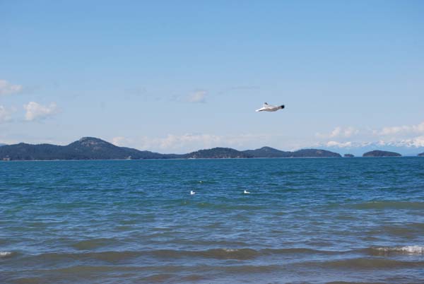 Montanas-Flathead-Lake0366