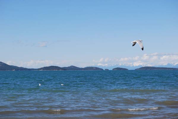 Montanas-Flathead-Lake0367