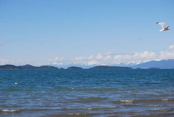 Montanas-Flathead-Lake0368