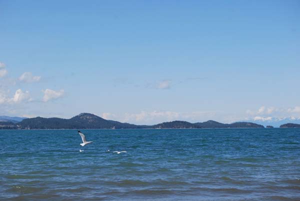 Montanas-Flathead-Lake0376