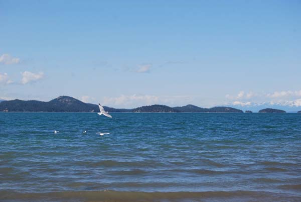 Montanas-Flathead-Lake0377