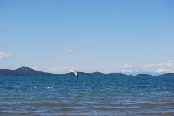 Montanas-Flathead-Lake0378