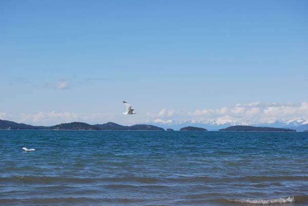 Montanas-Flathead-Lake0379