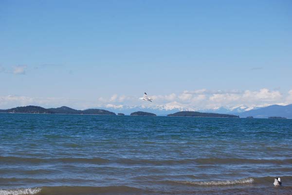 Montanas-Flathead-Lake0380