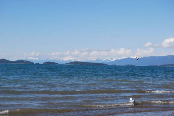 Montanas-Flathead-Lake0382
