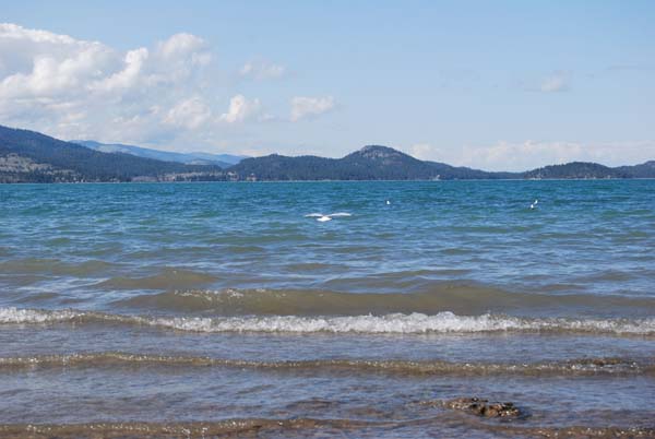 Montanas-Flathead-Lake0387