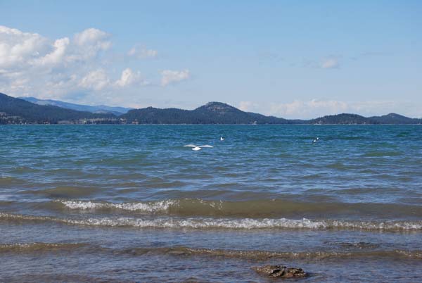 Montanas-Flathead-Lake0388