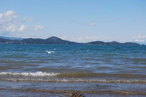 Montanas-Flathead-Lake0389