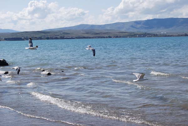 Montanas-Flathead-Lake0394