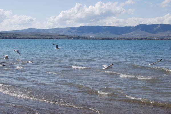 Montanas-Flathead-Lake0395