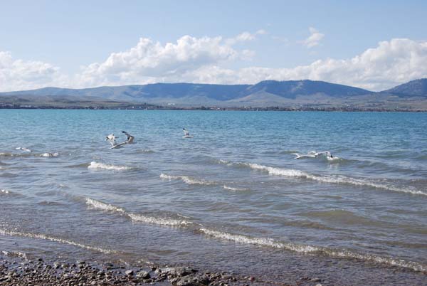 Montanas-Flathead-Lake0397