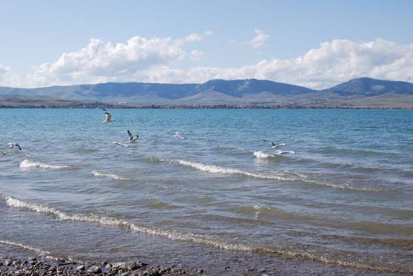 Montanas-Flathead-Lake0398