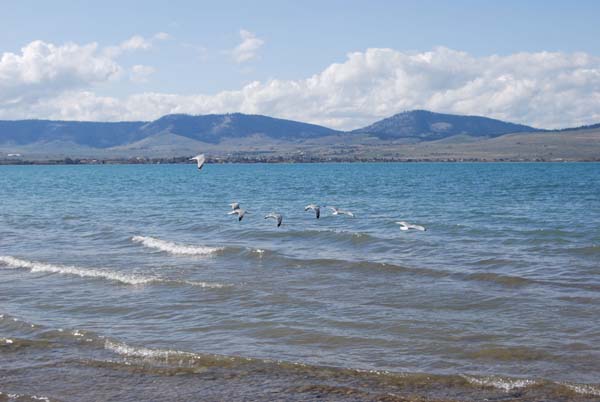 Montanas-Flathead-Lake0401