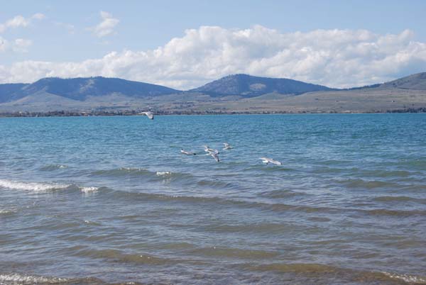 Montanas-Flathead-Lake0402