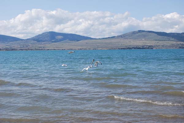 Montanas-Flathead-Lake0404