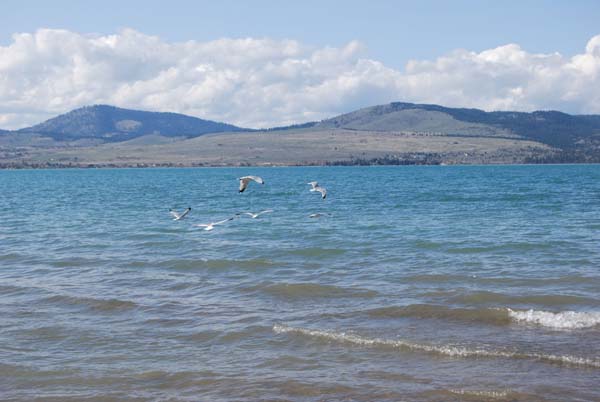 Montanas-Flathead-Lake0405