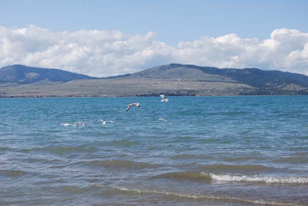 Montanas-Flathead-Lake0406