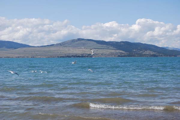 Montanas-Flathead-Lake0407