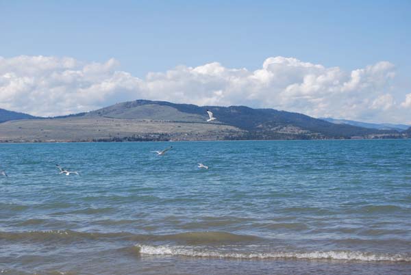 Montanas-Flathead-Lake0408