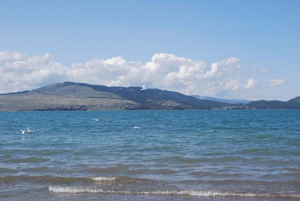 Montanas-Flathead-Lake0409