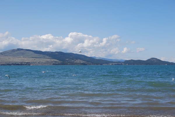 Montanas-Flathead-Lake0410